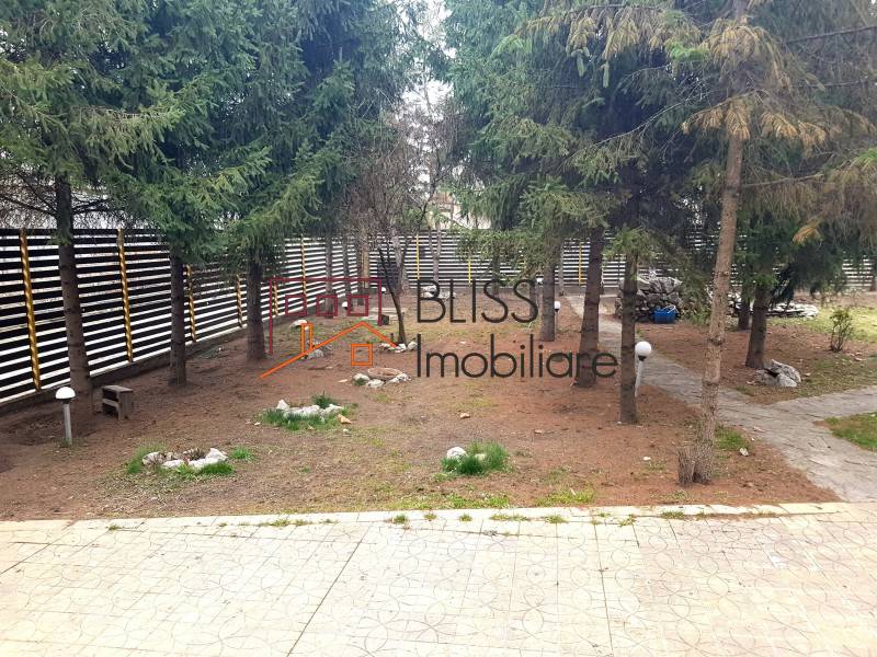 Vila 7 Camere In Baneasa | Bliss Imobiliare / Photo 37 - BLISS Imobiliare