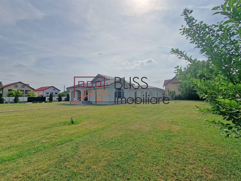 Luxurious 4 Bedrooms Villa In Corbeanca, Bucharest / Ilfov | Bliss Imobiliare / Photo 48 - BLISS Imobiliare