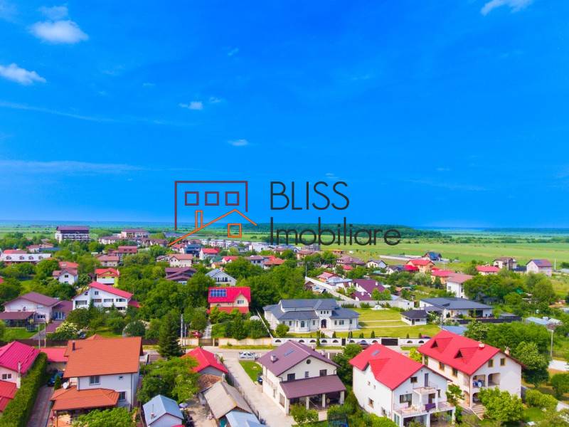 Luxurious 4 Bedrooms Villa In Corbeanca, Bucharest / Ilfov | Bliss Imobiliare / Photo 49 - BLISS Imobiliare